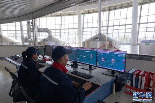 拉薩經開區 科技驅動高原特色產業蓬勃發展